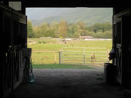 Looking from the barn out to the pasture at Rosebud River Ranch